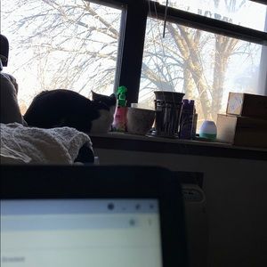 Meet your Posher, Bianca